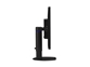 Philips 220B4LPYCB pivot