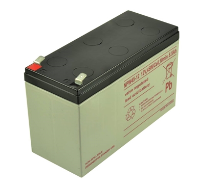 NPW45-12 Valve Regulated Lead Acid Battery