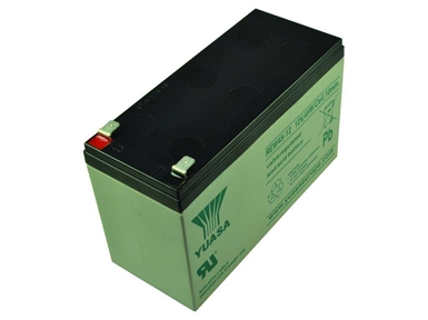REW45-12 Valve Regulated Lead Acid Battery