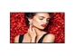 Profesionalni zaslon Philips 43BDL4031D (43", IPS, Full HD)