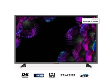 LED TV Sprejemnik SHARP 40BF4E (40" Full HD)