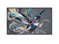 Profesionalni LED zaslon Philips 43BDL3550Q/00 (43", Android, 4K UHD)