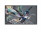 Philips 50BDL3550Q – 50″ UHD Android Q-Line zaslon