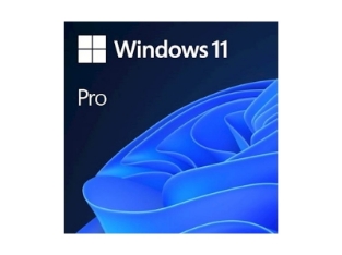Microsoft Windows 11 Professional 64-bit SLO DSP (FQC-10551)