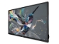 Philips 32BDL3511Q – 32″ Full HD Q-Line zaslon s CMND in USB predvajalnikom