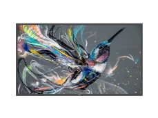 Philips 50BDL3511Q – 50” Q-Line UHD profesionalni zaslon za digitalni signage