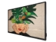 Philips 32BDL4511D – 32″ Full HD D‑Line zaslon z CMND in USB predvajalnikom