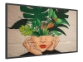 Philips 43BDL4511D – 43″ UHD D‑Line zaslon z 500 cd/m² in CMND upravljanjem