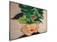 Philips 65BDL4511D – 65″ UHD digitalni zaslon z 500 cd/m² in CMND upravljanjem
