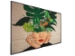 Philips 75BDL4511D – 75″ UHD digitalni zaslon z 500 cd/m² in CMND upravljanjem