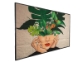 Philips 86BDL4511D – 86″ UHD digitalni zaslon z 500 cd/m² in CMND upravljanjem