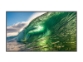 Philips 50BDL3650QE – 50″ Q‑Line UHD Android zaslon z OPS režo