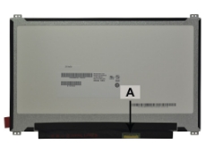 Slika 2P-B116XTN02.3-HW3A 11.6 1366x768 HD Matte Top/Bottom Fix