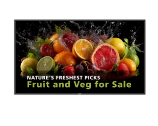 Philips 55BDL5050D digitalni signage zaslon 55 palcev