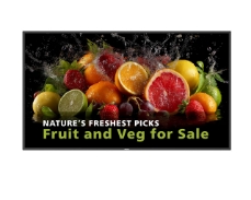 Philips 65BDL5050D digitalni signage zaslon 65 palcev 24/7 600 nit