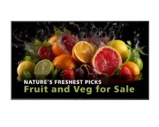 Philips 98BDL5050D digitalni signage zaslon za profesionalno rabo