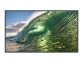 Philips 43BDL3650QE 4K UHD zaslon EcoDesign
