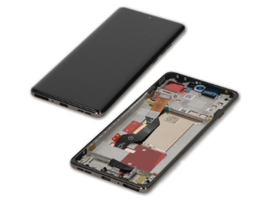 RBSKU24209 Screen / Display Assembly