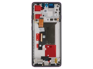 RBSKU24207 Screen / Display Assembly
