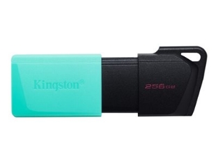 Slika KINGSTON 256GB DataTraveler Exodia M