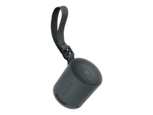 Slika SONY SRSXB100B.CE7 wireless speaker Black